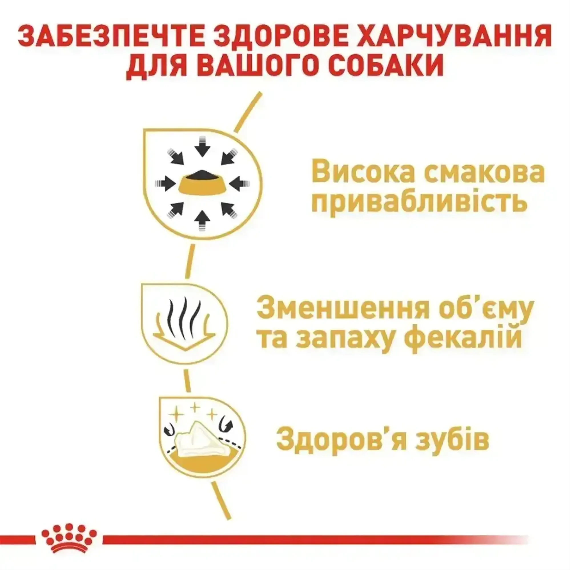 Сухий корм для собак Royal Canin Chihuahua Adult 1,5 кг