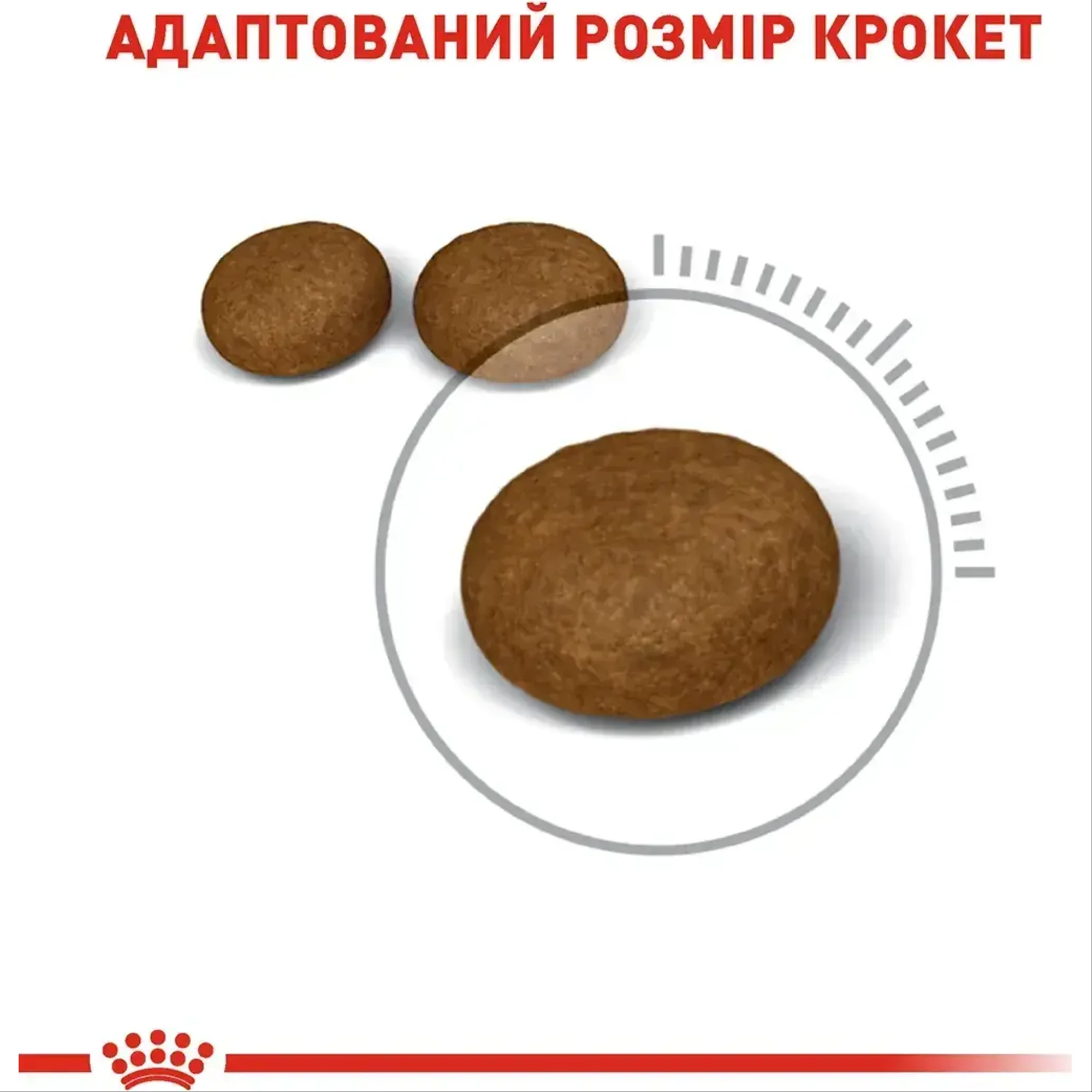 Сухий корм для кішок Royal Canin Hair & Skin Care 10 кг