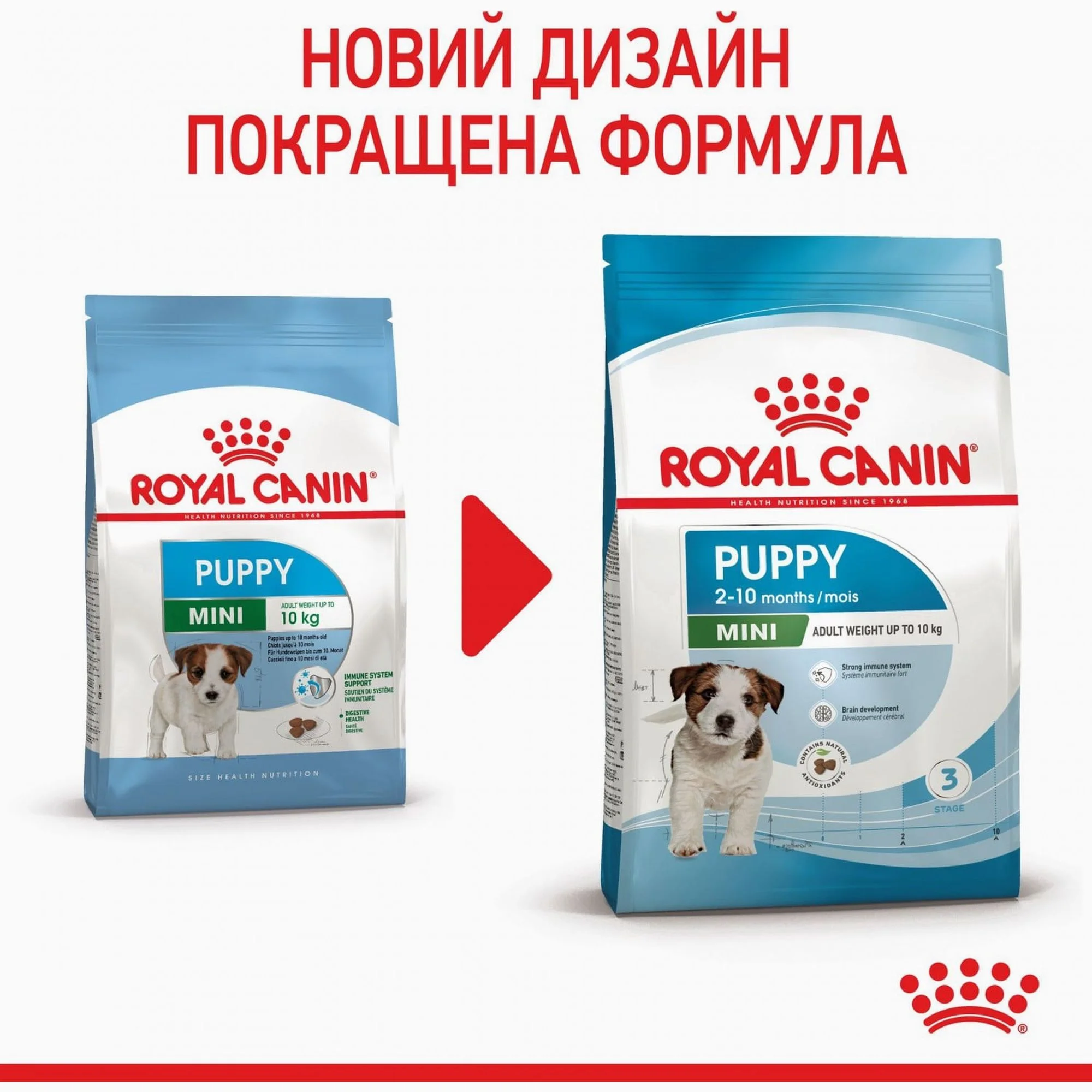 Сухий корм для цуценят Royal Canin MINI PUPPY