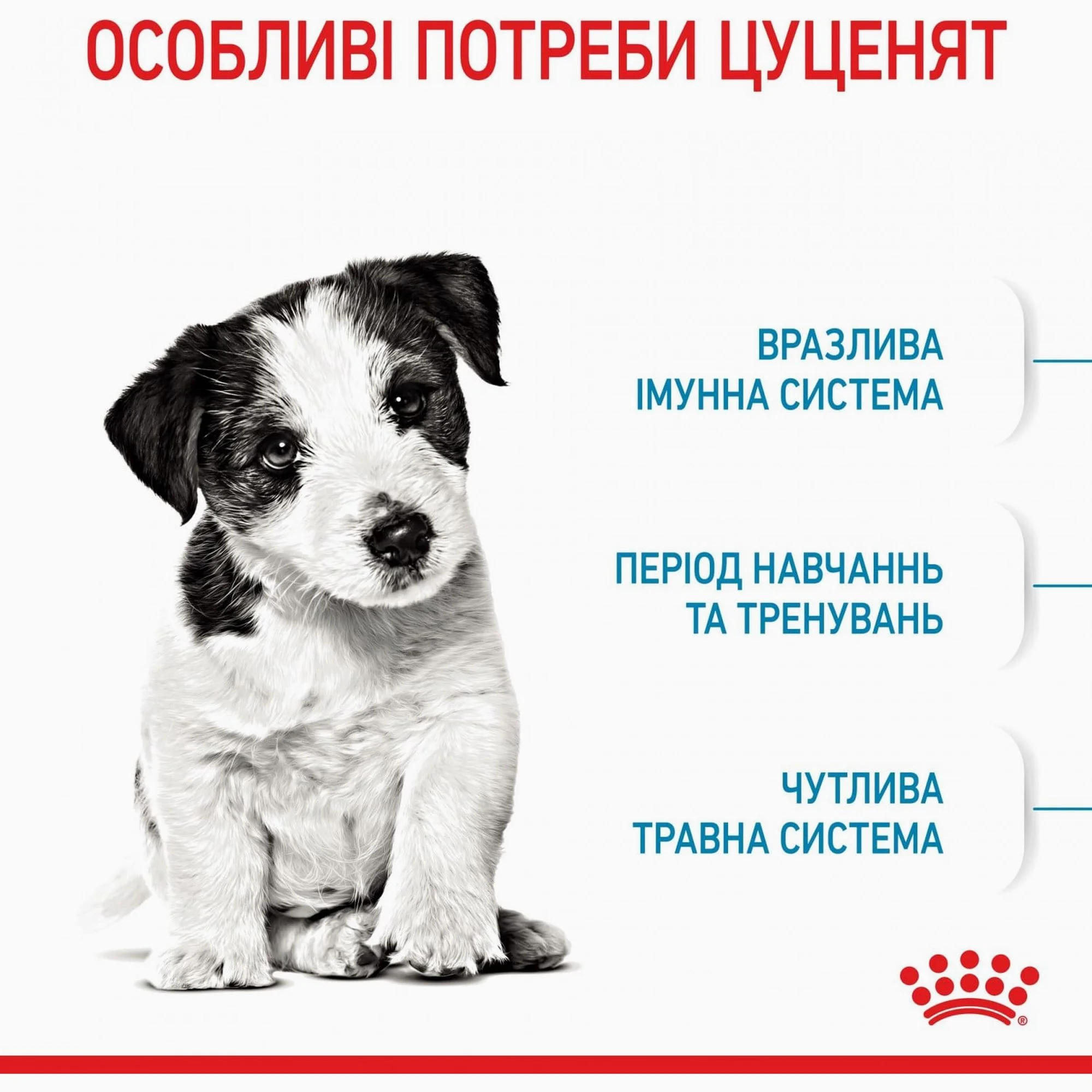 Сухий корм для цуценят Royal Canin MINI PUPPY