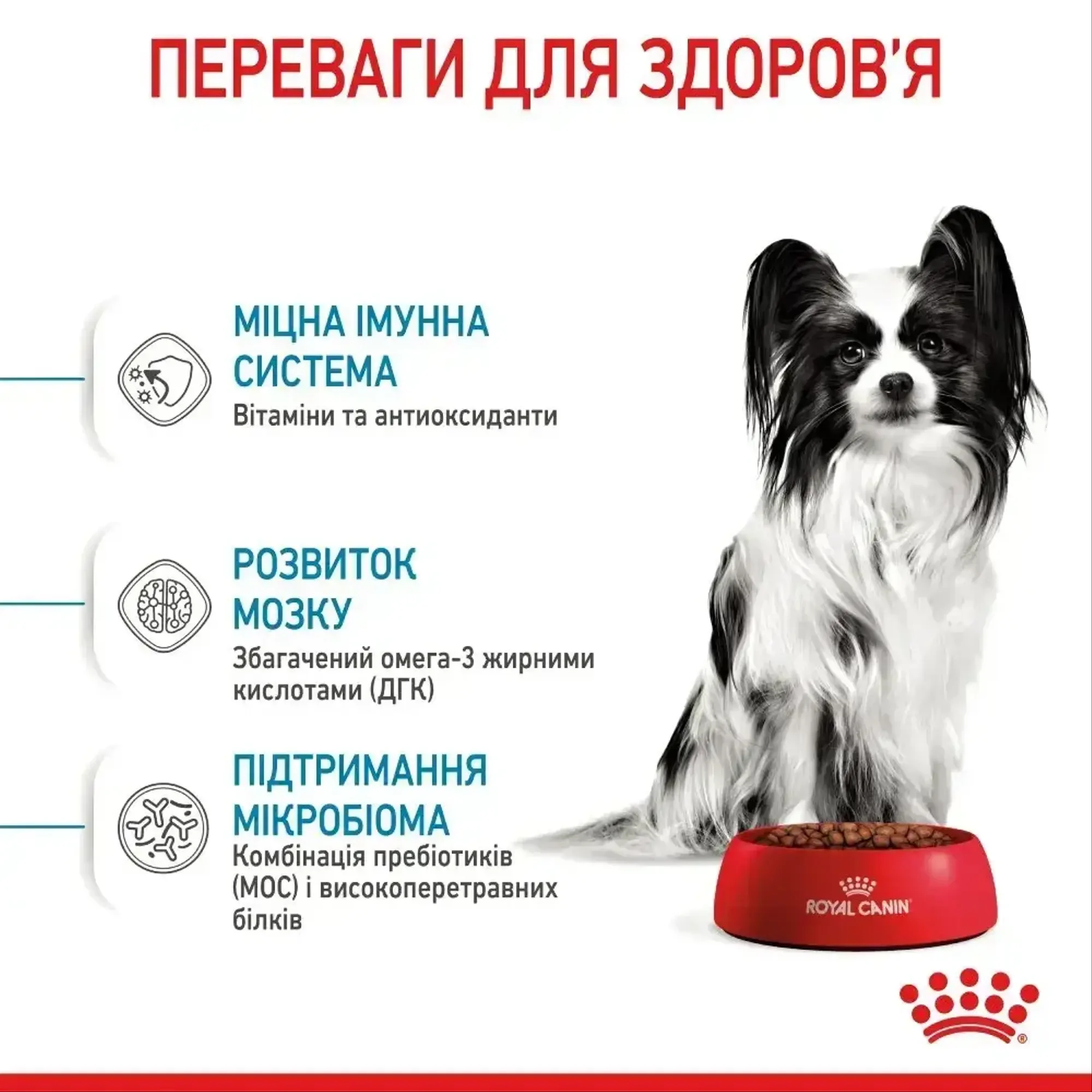 Корм для цуценят ROYAL CANIN XSMALL PUPPY 3 кг