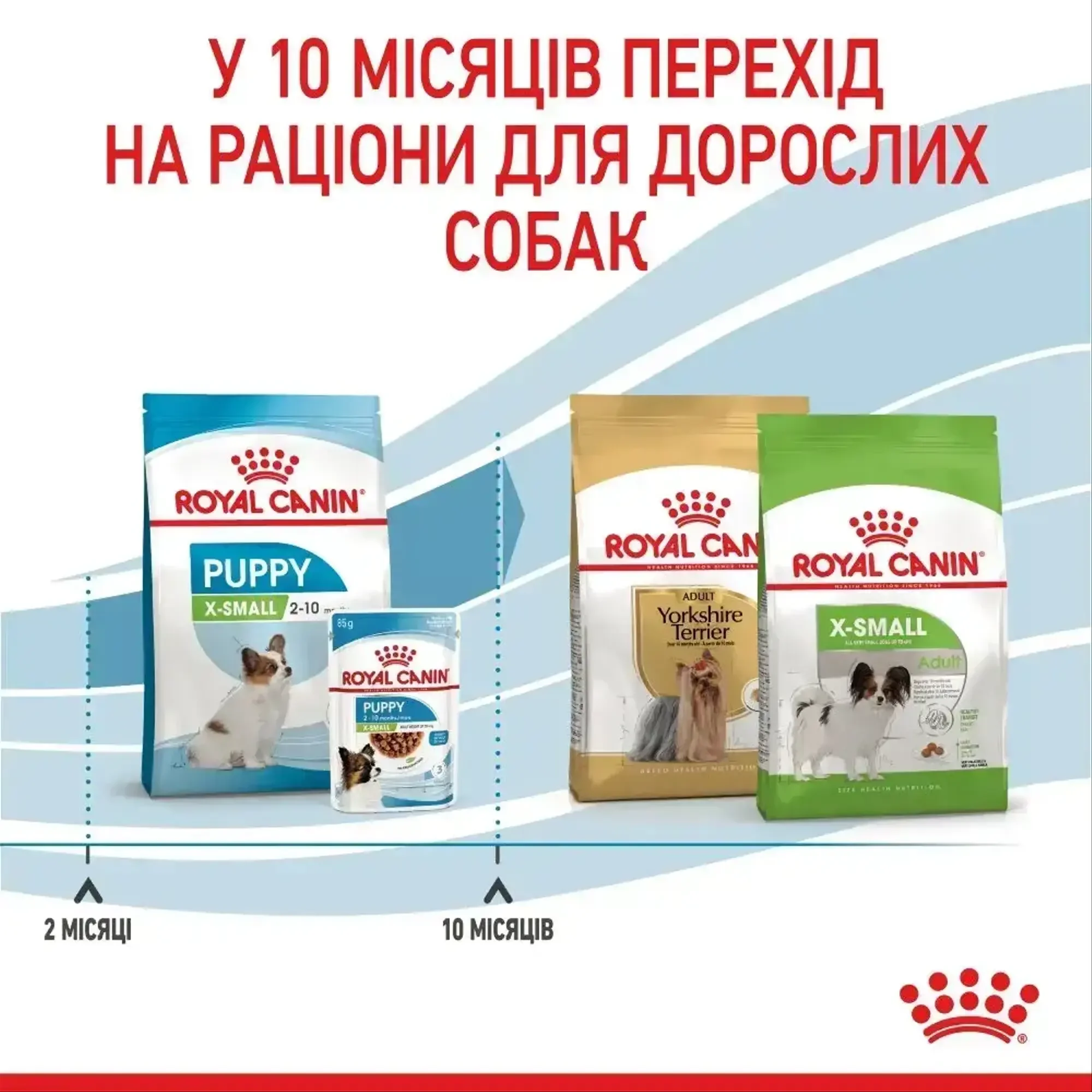 Корм для цуценят ROYAL CANIN XSMALL PUPPY 3 кг