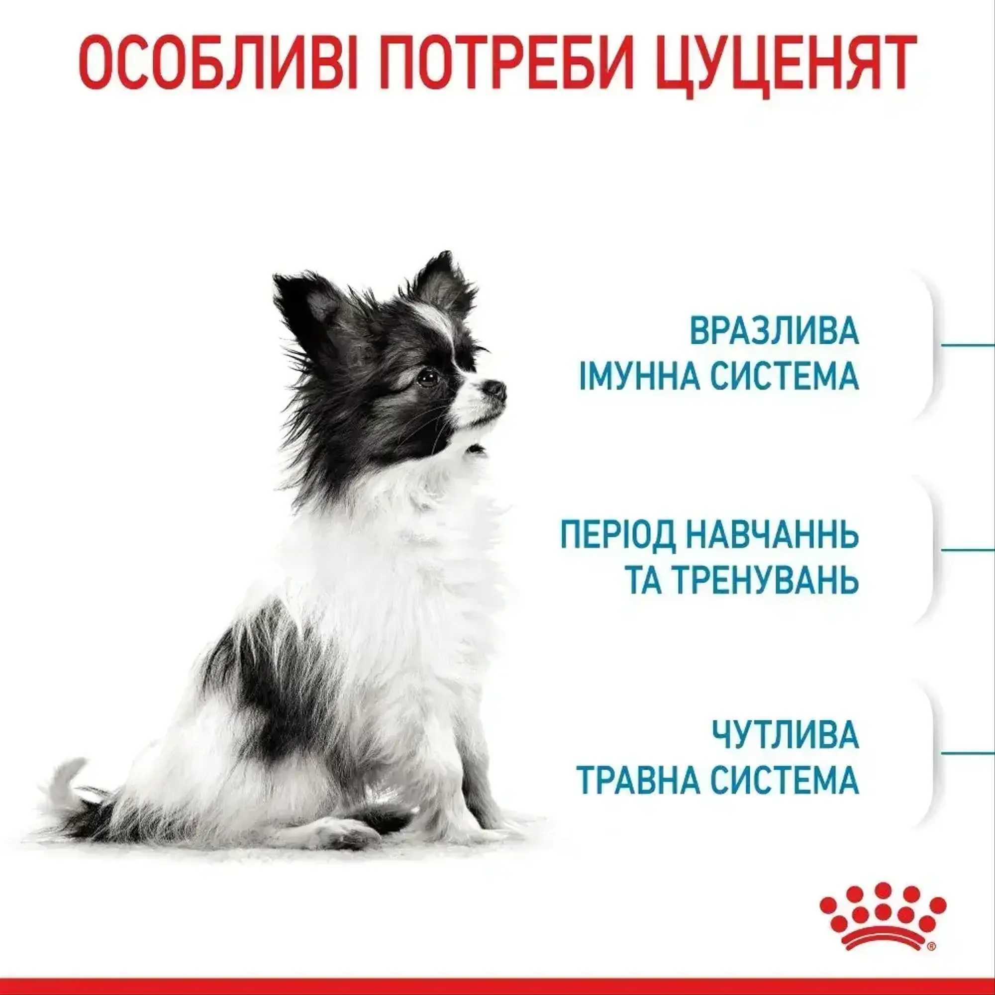 Корм для цуценят ROYAL CANIN XSMALL PUPPY 3 кг