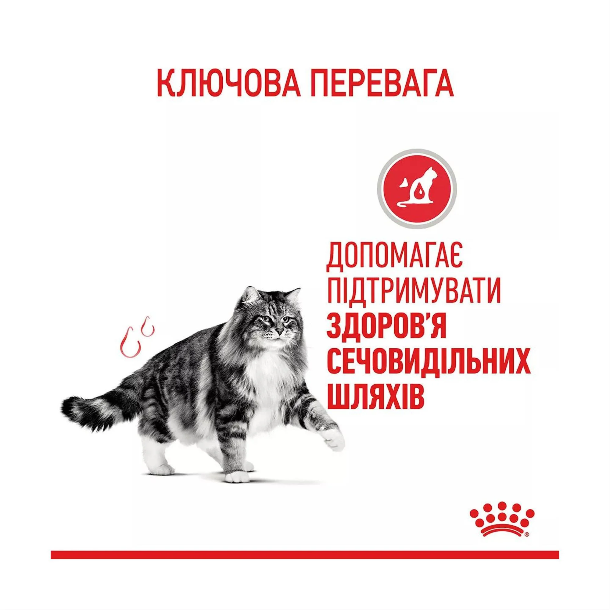 URINARY CARE  , 10кг