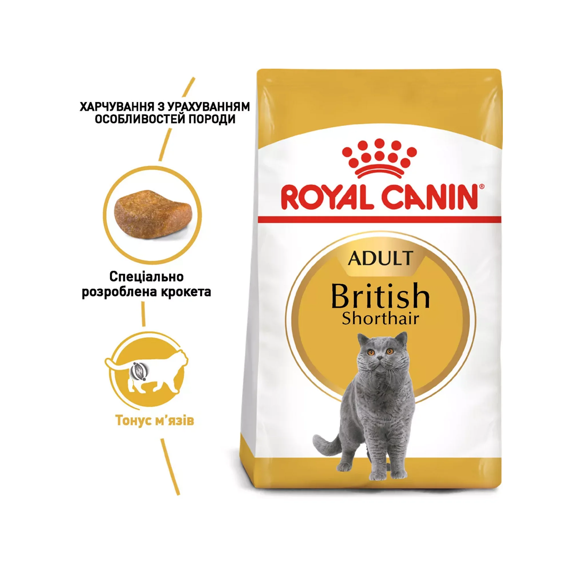 Сухий корм для котів породи британська короткошерста Royal Canin British Shorthair, 10 кг