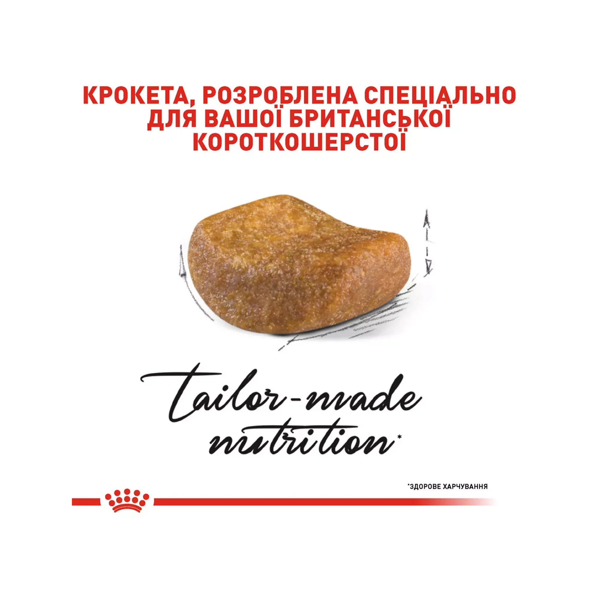 Сухий корм для котів породи британська короткошерста Royal Canin British Shorthair, 10 кг