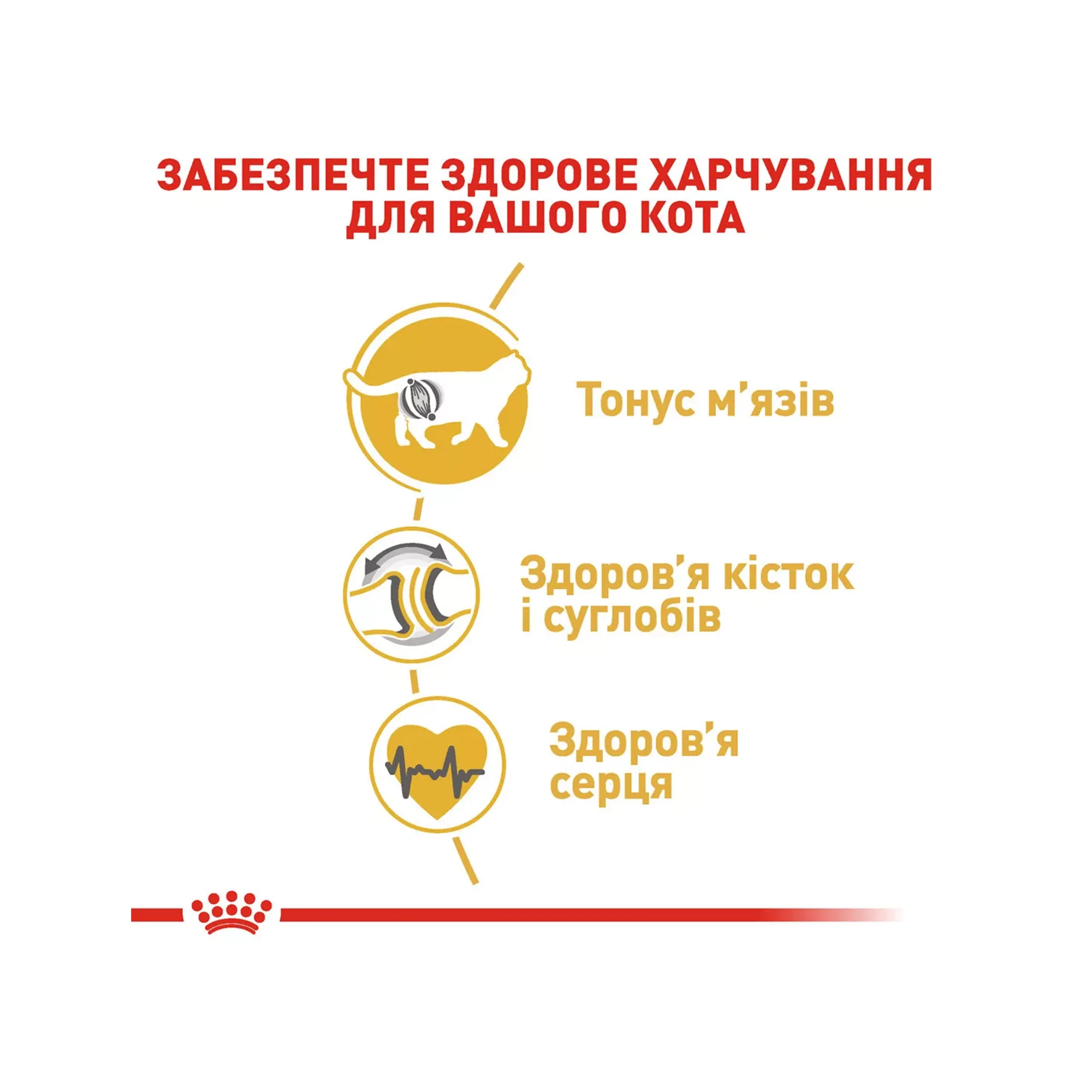 Сухий корм для котів породи британська короткошерста Royal Canin British Shorthair, 10 кг