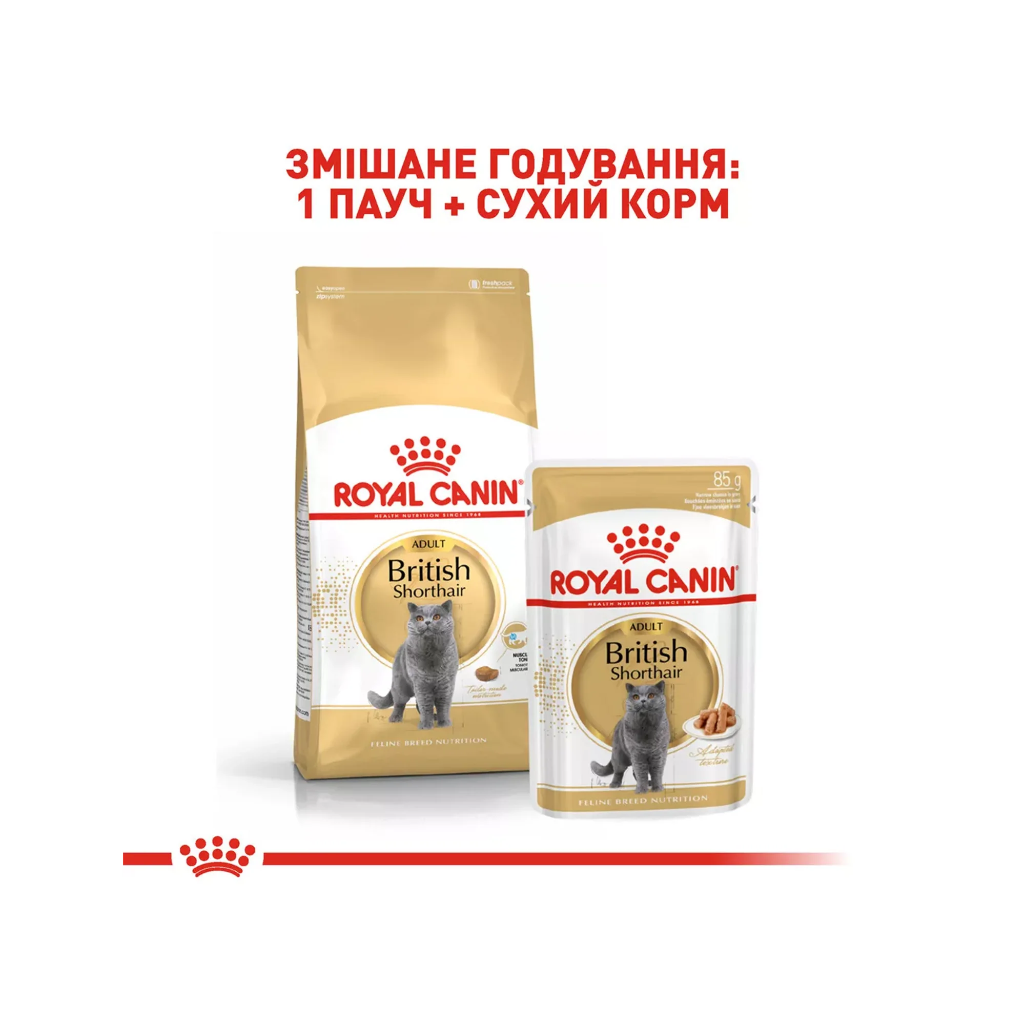 Сухий корм для котів породи британська короткошерста Royal Canin British Shorthair, 10 кг
