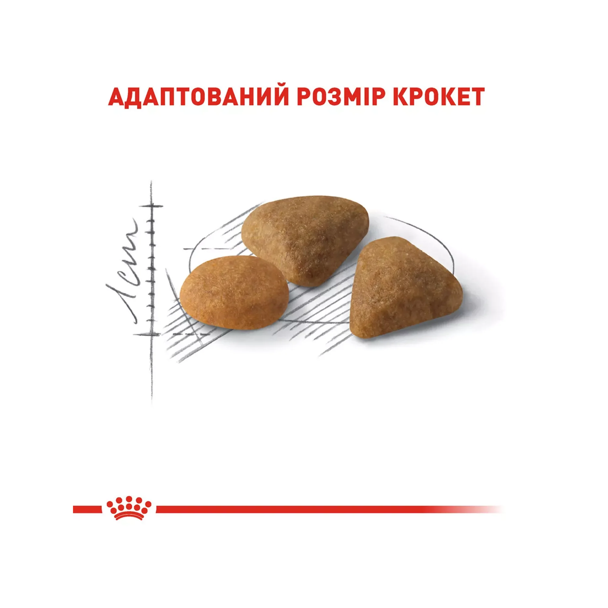 Сухий корм для котів Royal Canin EXIGENT SAVOUR, 10 кг