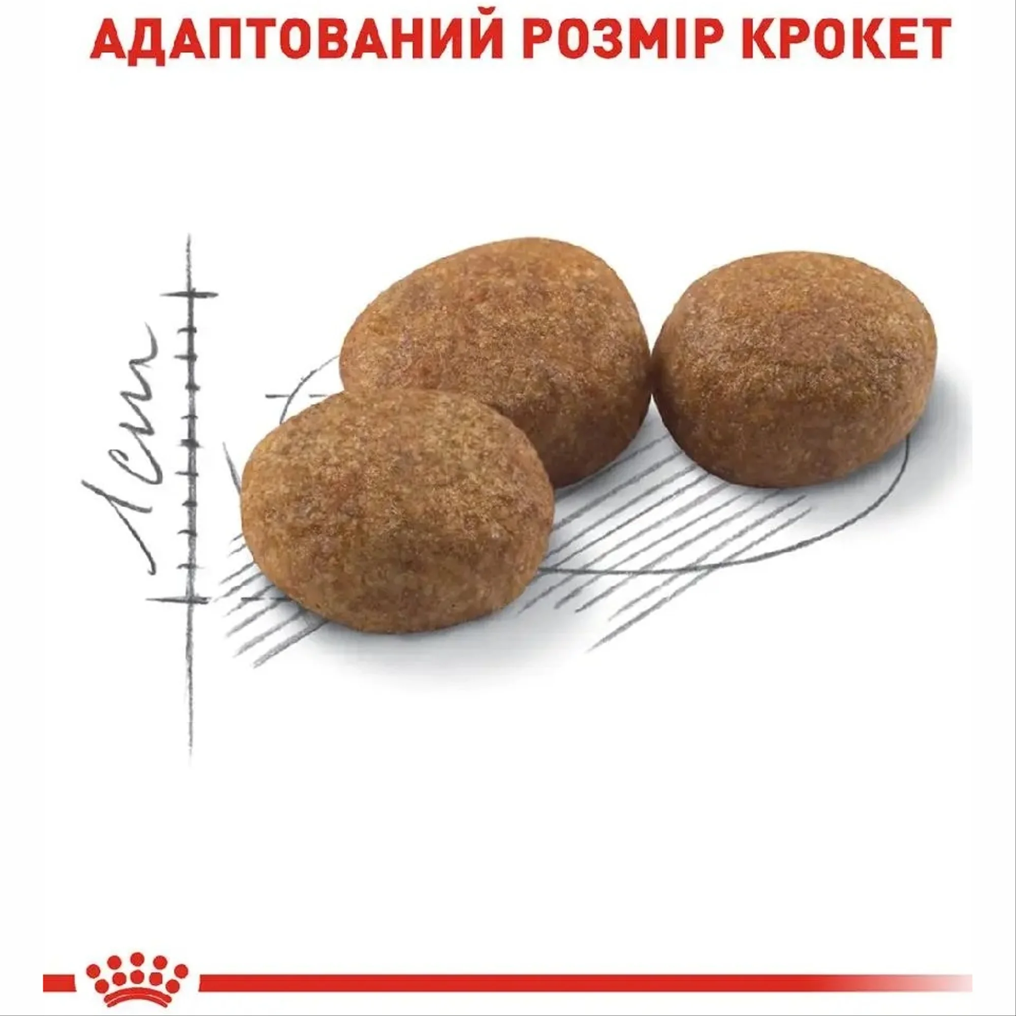 FHN STERILISED 9+1 KG