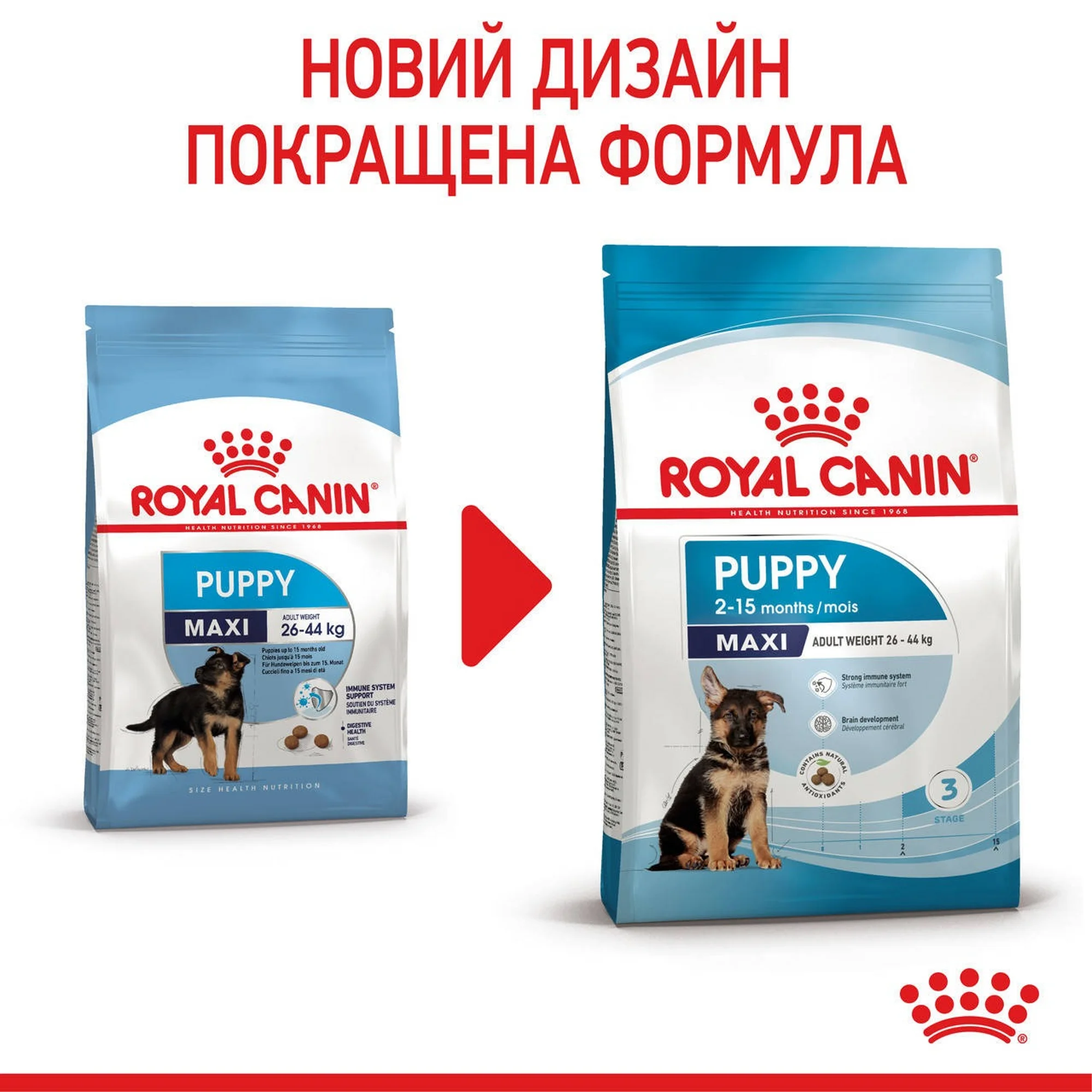 Сухий корм для цуценят Royal Canin Maxi Puppy великих порід 15кг