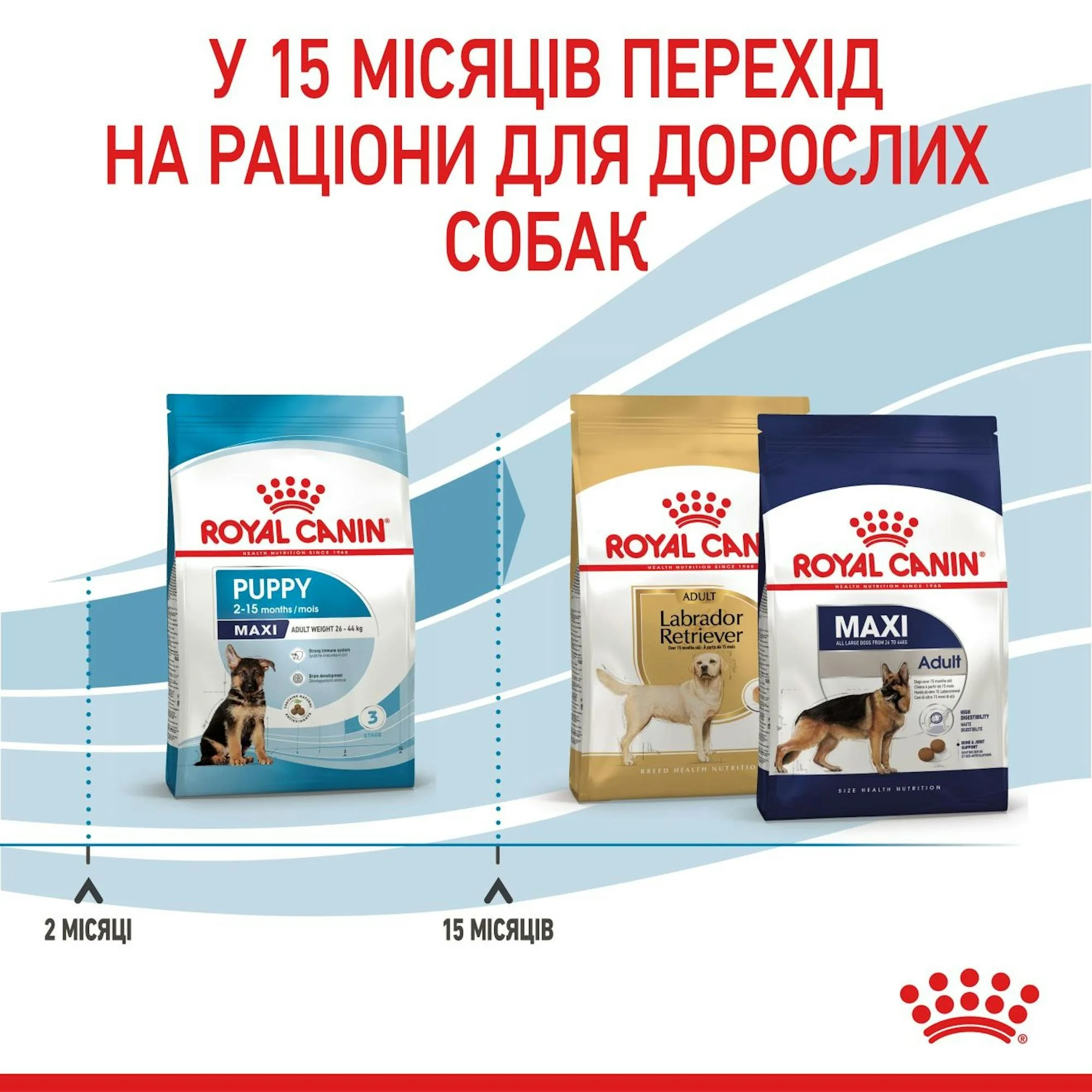 Сухий корм для цуценят Royal Canin Maxi Puppy великих порід 15кг