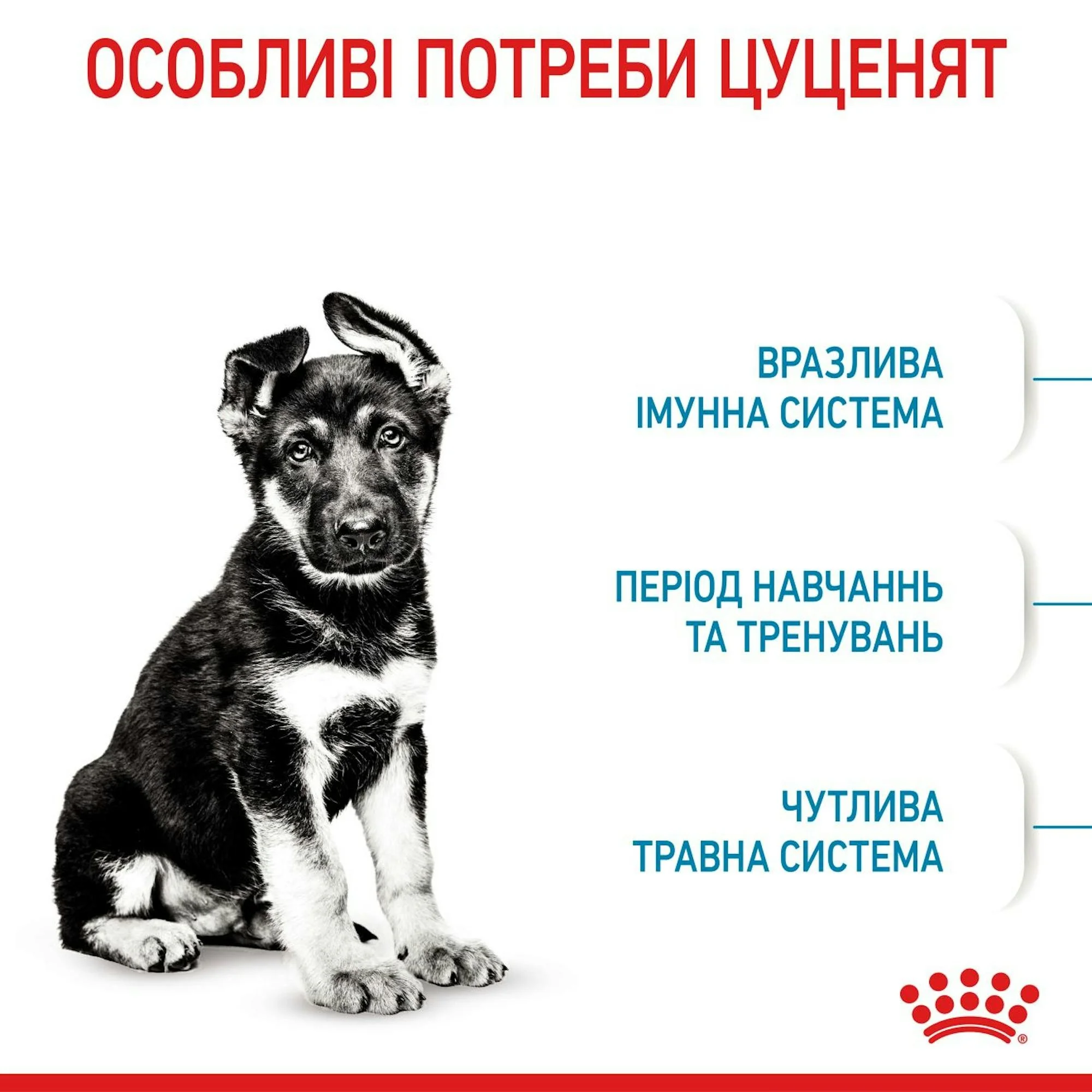 Сухий корм для цуценят Royal Canin Maxi Puppy великих порід 15кг
