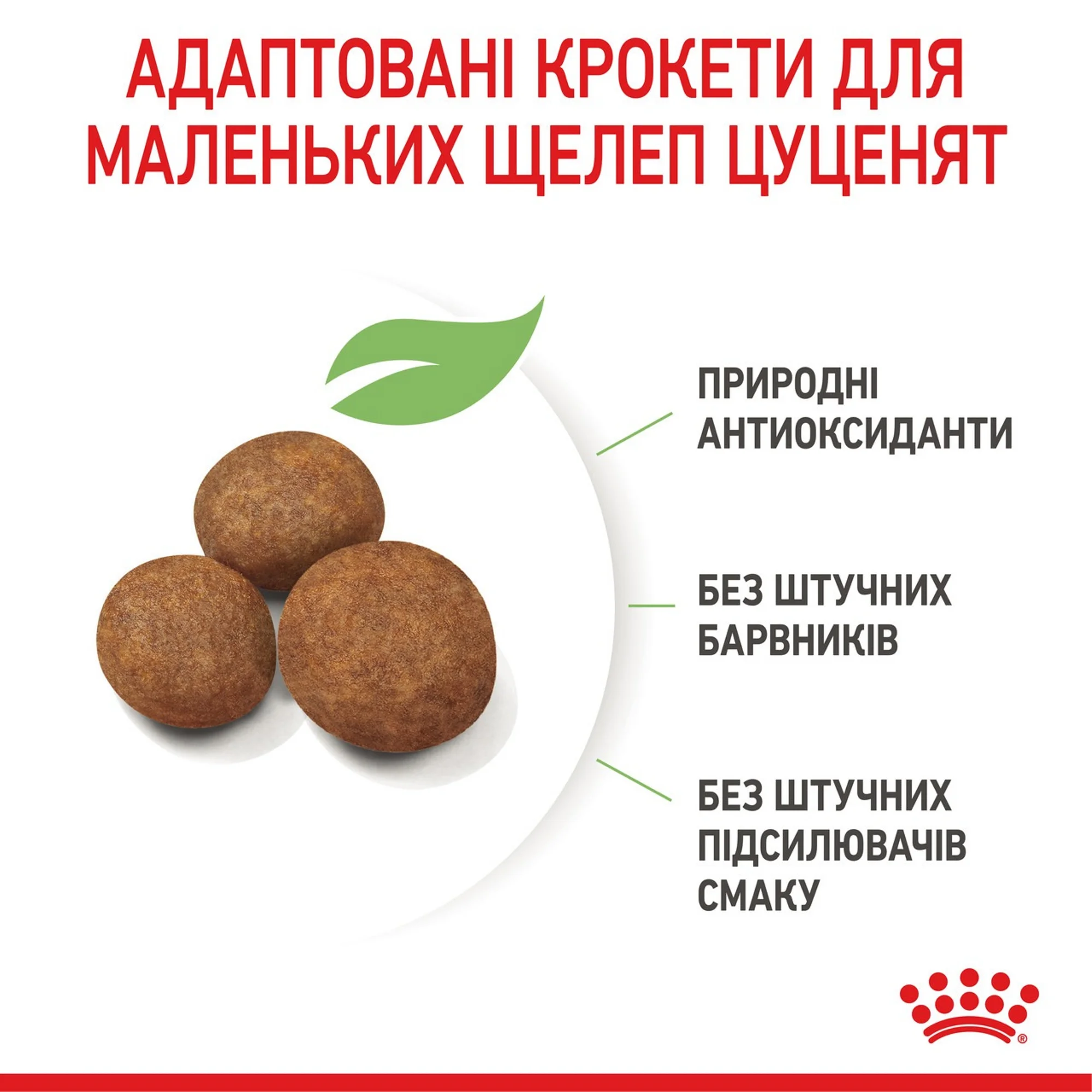 Сухий корм для цуценят Royal Canin Maxi Puppy великих порід 15кг