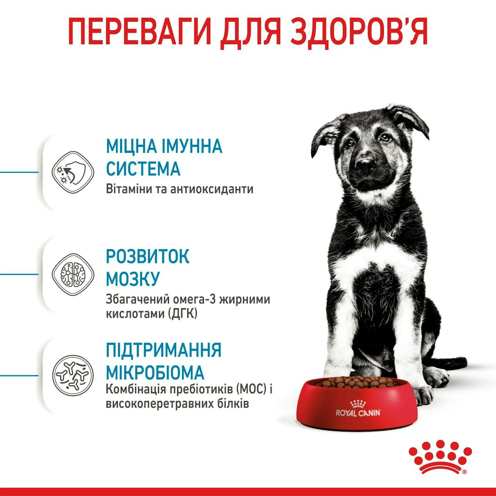 Сухий корм для цуценят Royal Canin Maxi Puppy великих порід 15кг