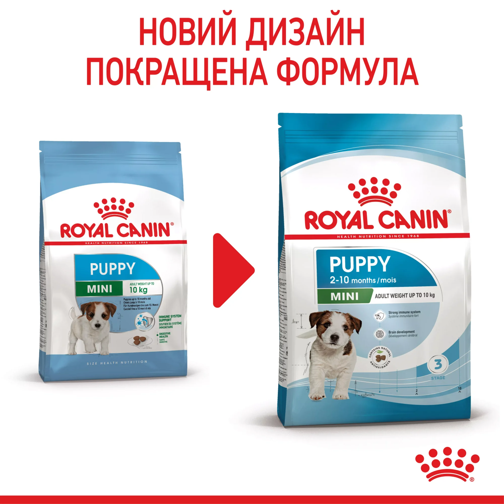 Сухий корм для цуценят малих порід Royal Canin Mini Puppy 8 кг
