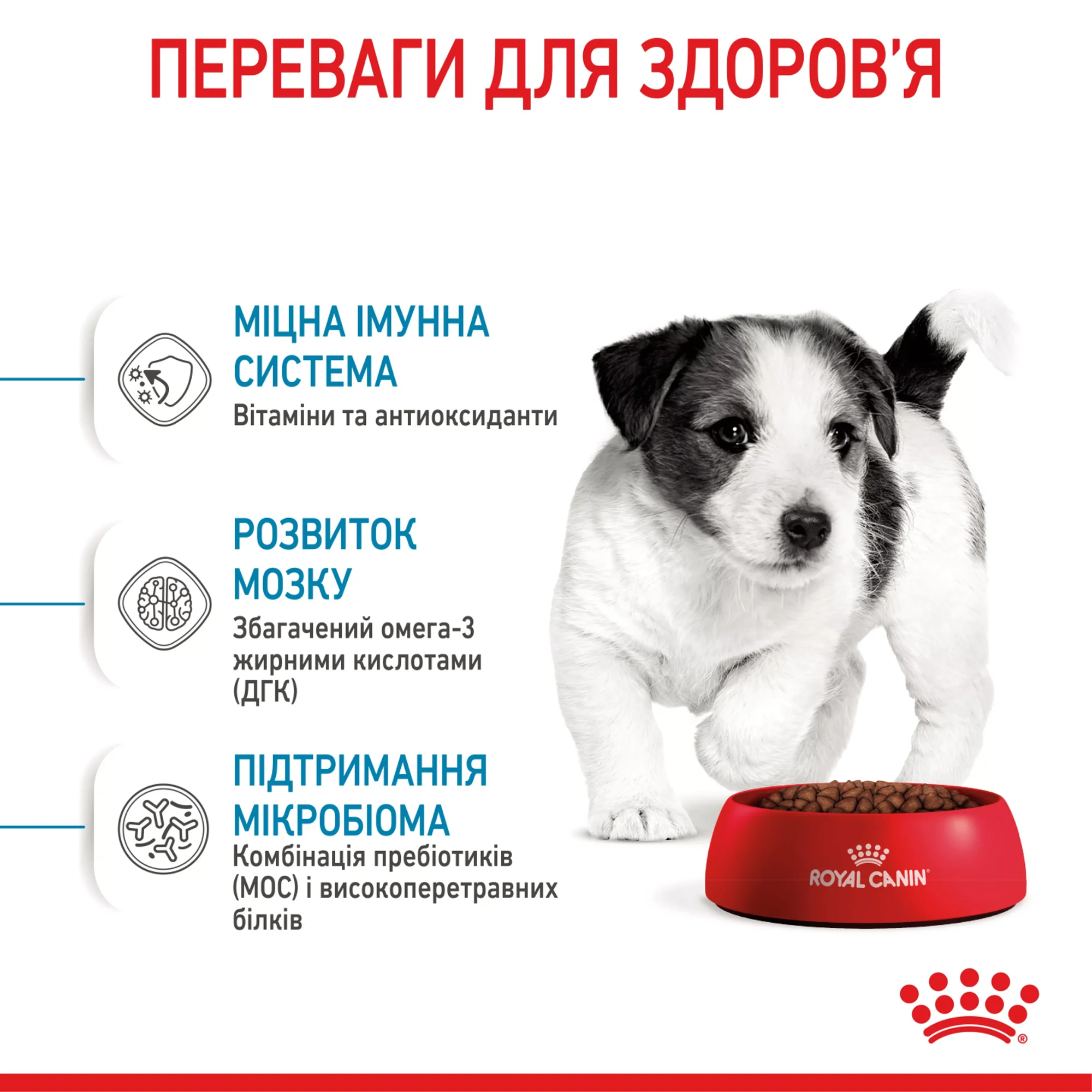 Сухий корм для цуценят малих порід Royal Canin Mini Puppy 8 кг