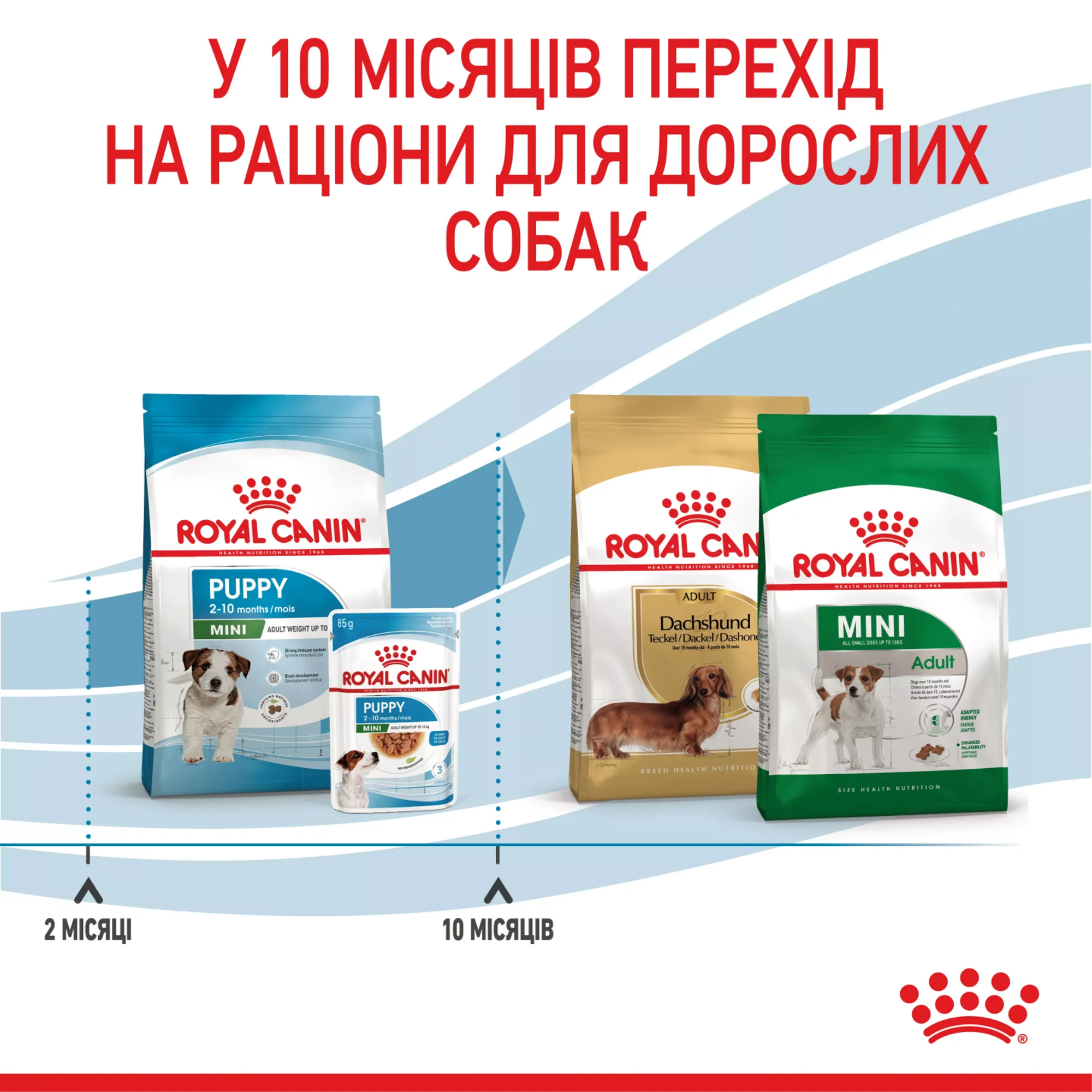 Сухий корм для цуценят малих порід Royal Canin Mini Puppy 8 кг