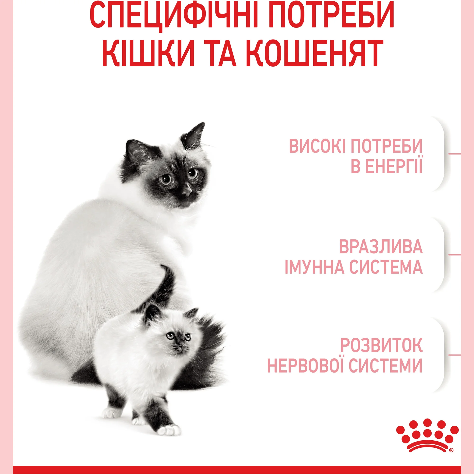 Сухий корм для кішок під час вагітності та кошенят до 4 місяців Royal Canin Mother&Babycat 10кг