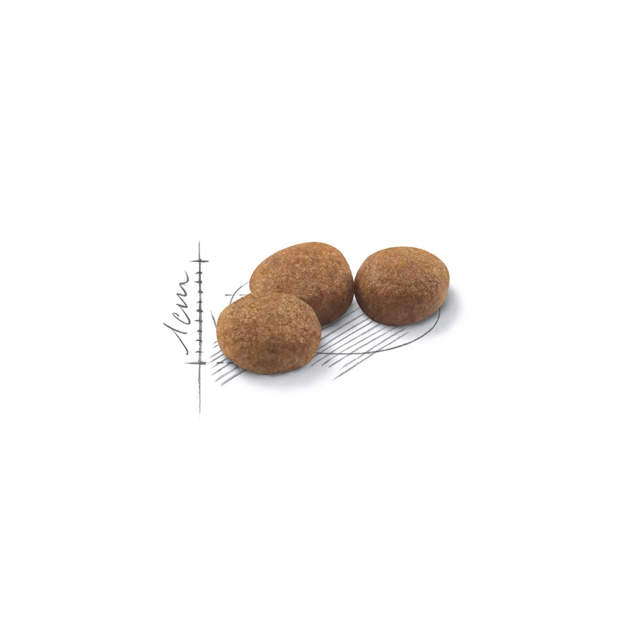 Сухий корм для дорослих стерилізованих кішок Royal Canin Sterilised, 10кг